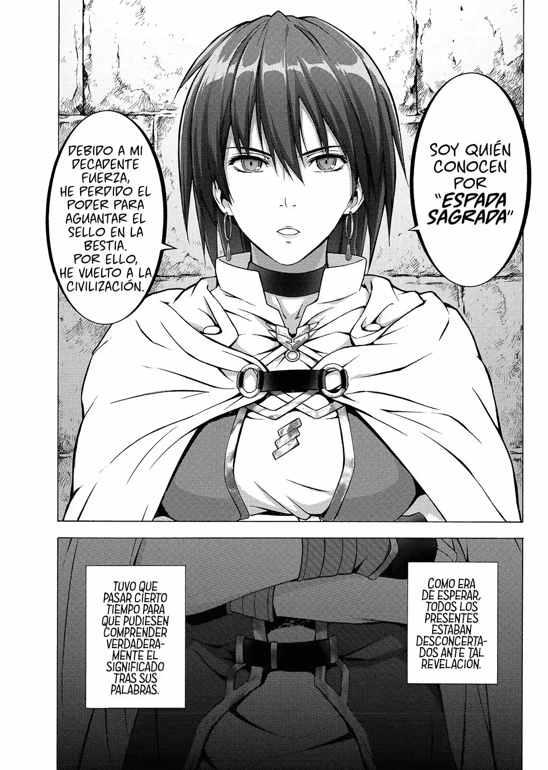 Seiken no Blacksmith (2009) - Capítulo 45 - Página 14 - LectorTMOo