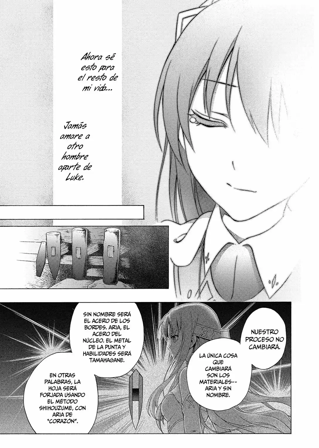 Seiken no Blacksmith (2009) - Capítulo 50 - Página 16 - LectorTMOo