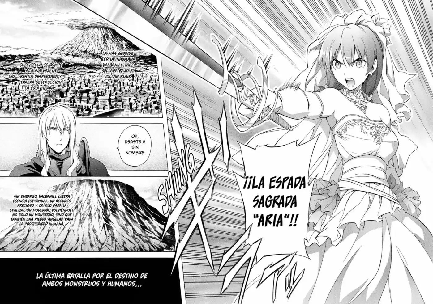 Seiken no Blacksmith (2009) - Capítulo 53 - Página 13 - LectorTMOo