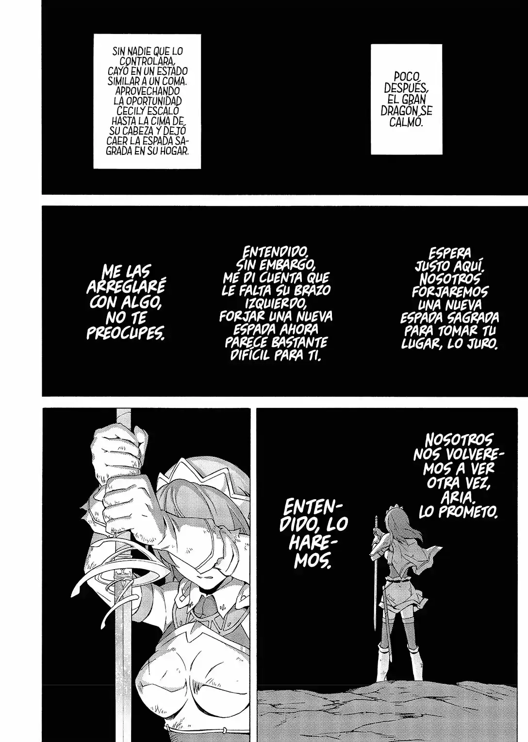 Seiken no Blacksmith (2009) - Capítulo 61 - Página 19 - LectorTMOo