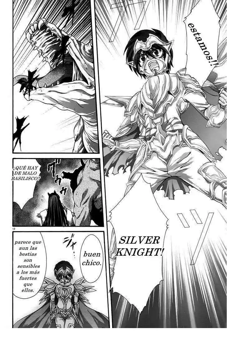 Seikoku no Dragonar (2011) - Capítulo 14 - Página 12 - LectorTMOo