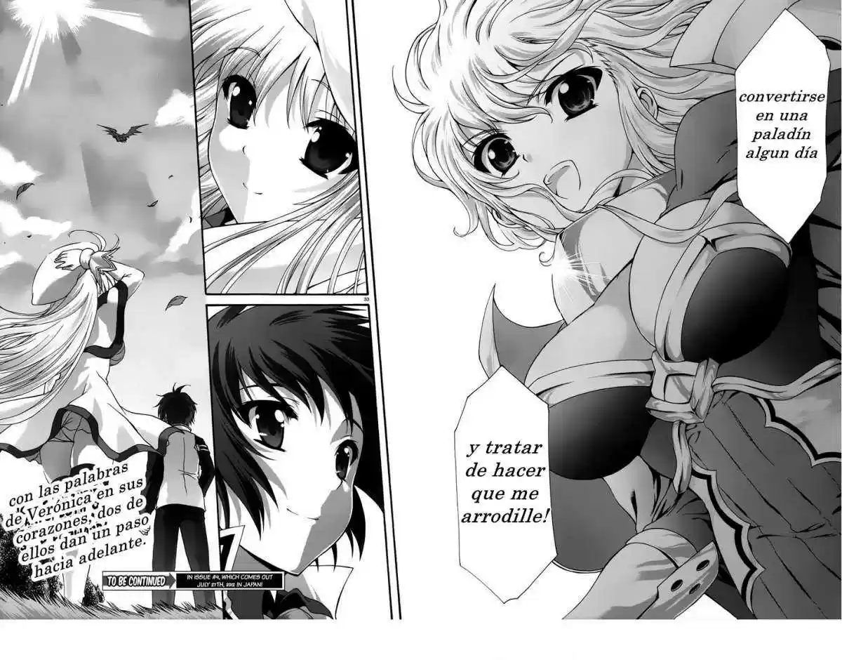 Seikoku no Dragonar (2011) - Capítulo 14 - Página 31 - LectorTMOo