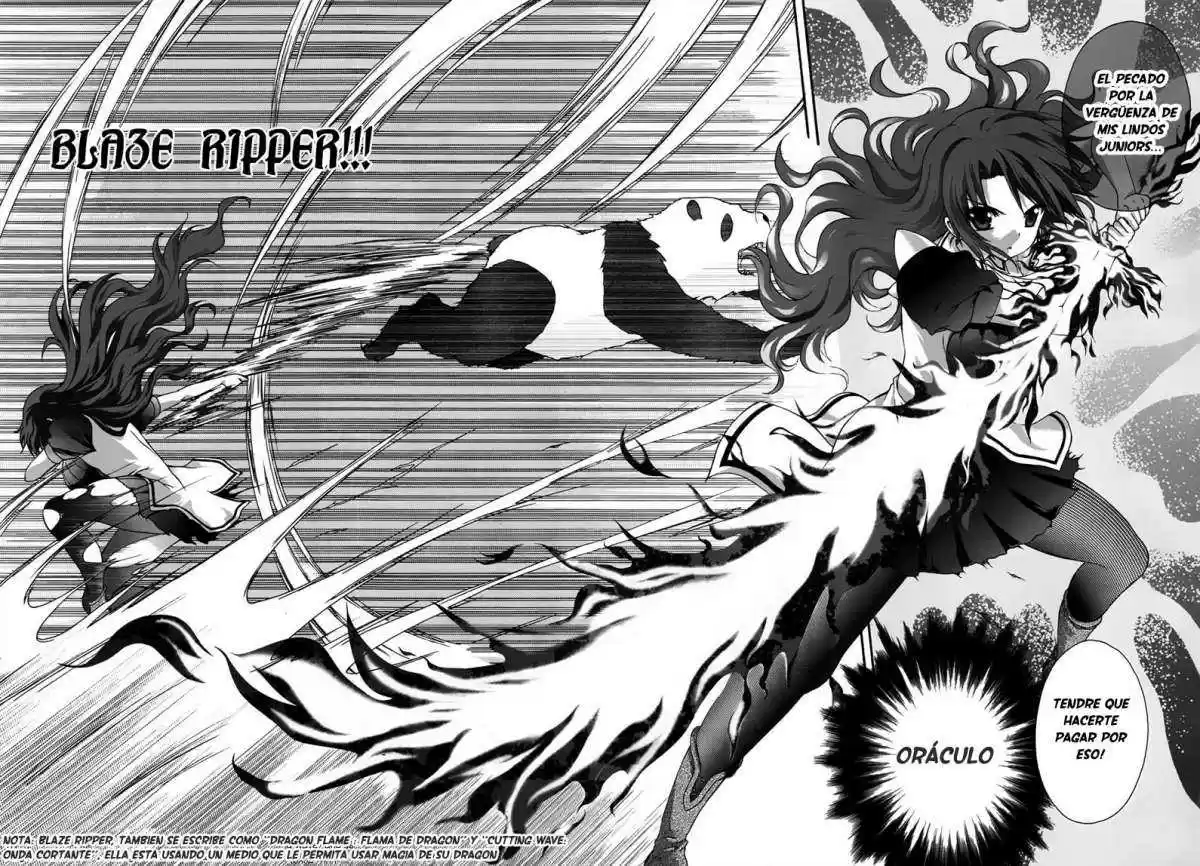 Seikoku no Dragonar (2011) - Capítulo 15 - Página 22 - LectorTMOo