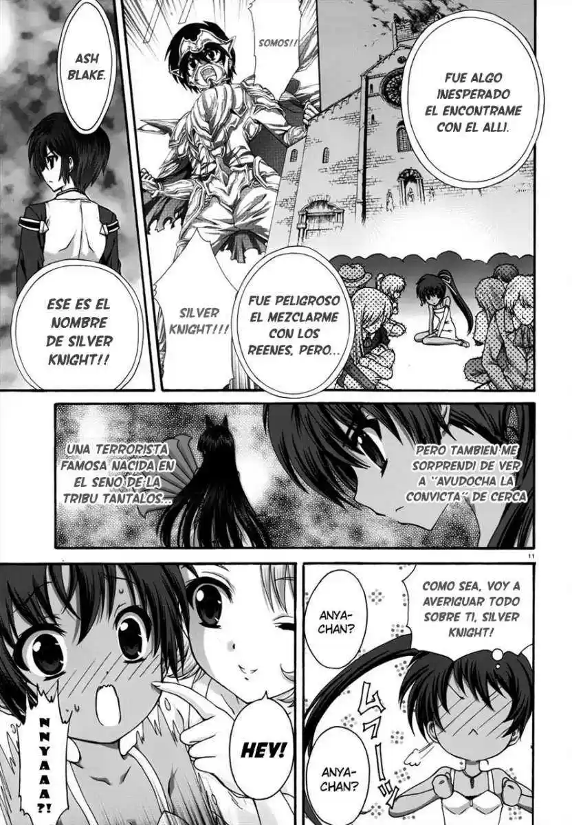 Seikoku no Dragonar (2011) - Capítulo 16 - Página 10 - LectorTMOo