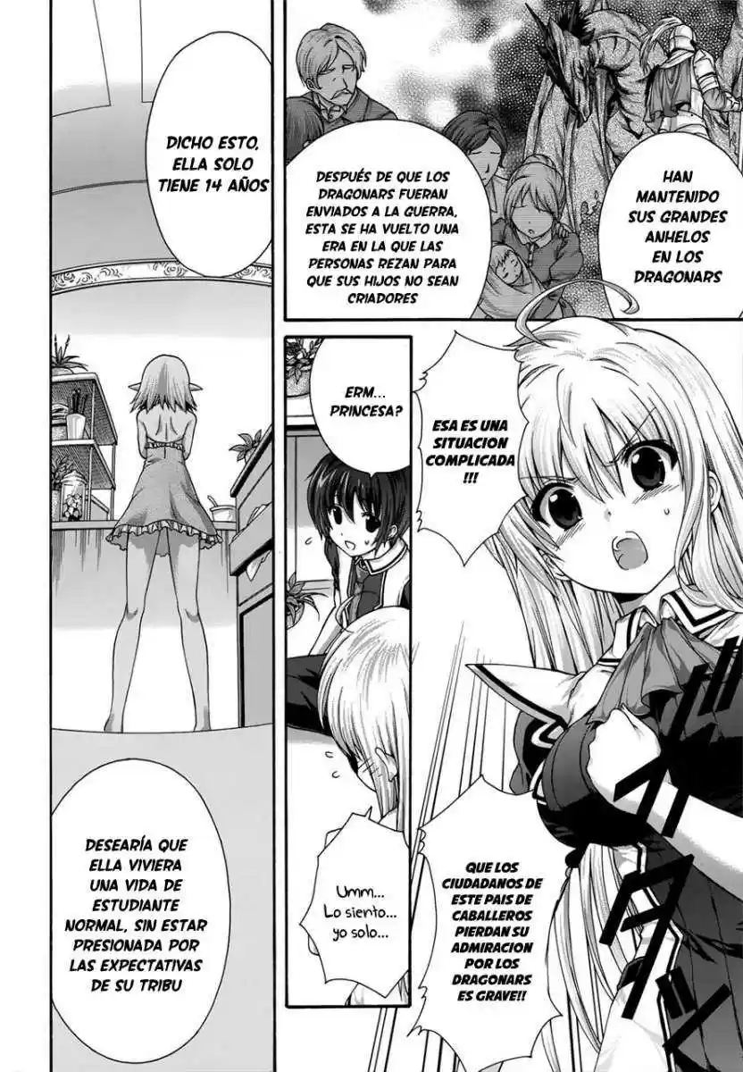 Seikoku no Dragonar (2011) - Capítulo 17 - Página 26 - LectorTMOo
