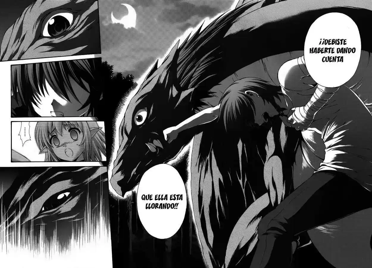 Seikoku no Dragonar (2011) - Capítulo 19 - Página 27 - LectorTMOo