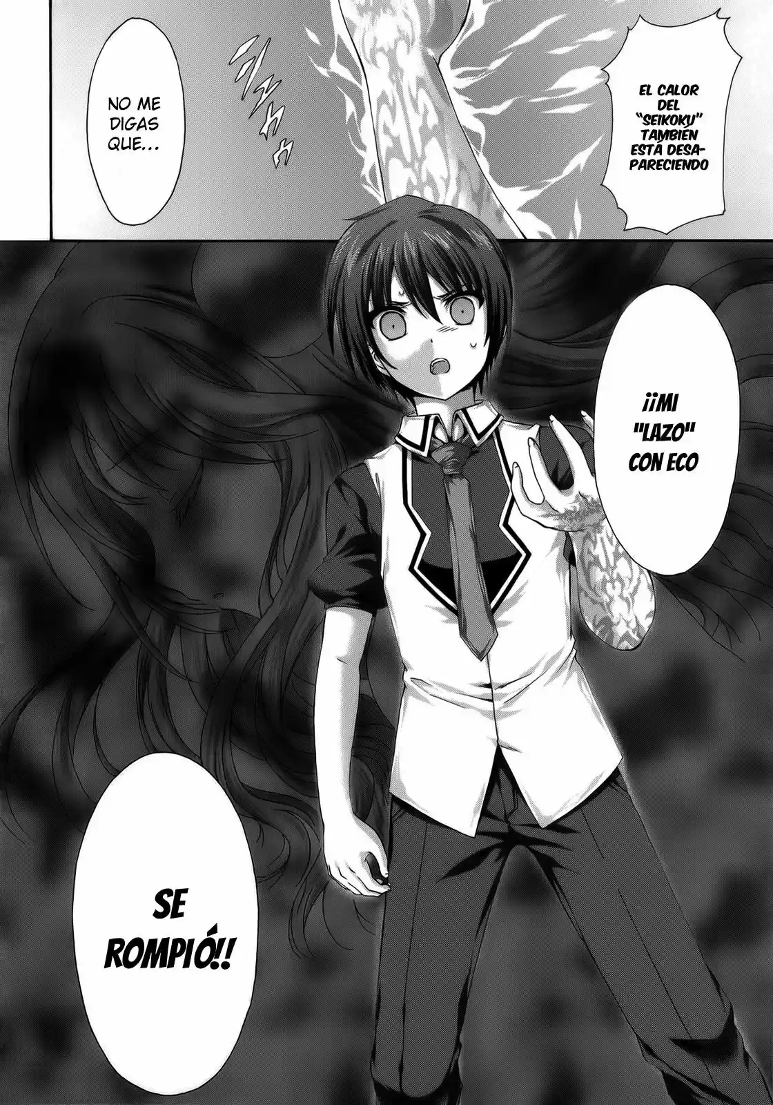 Seikoku no Dragonar (2011) - Capítulo 28 - Página 33 - LectorTMOo