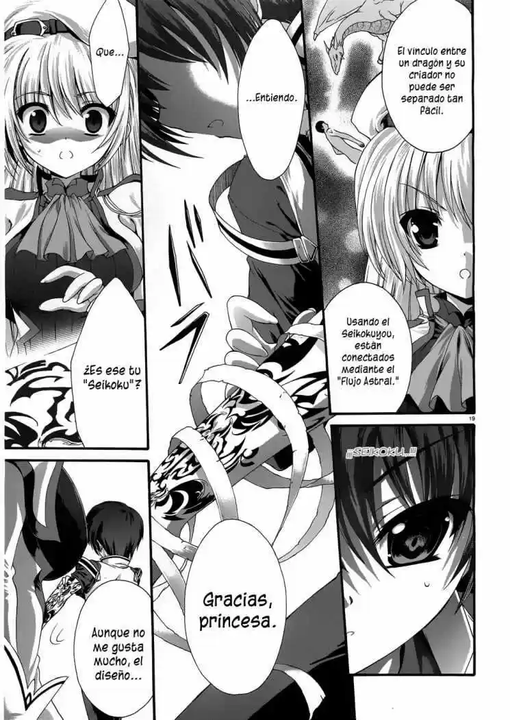 Seikoku no Dragonar (2011) - Capítulo 3 - Página 20 - LectorTMOo