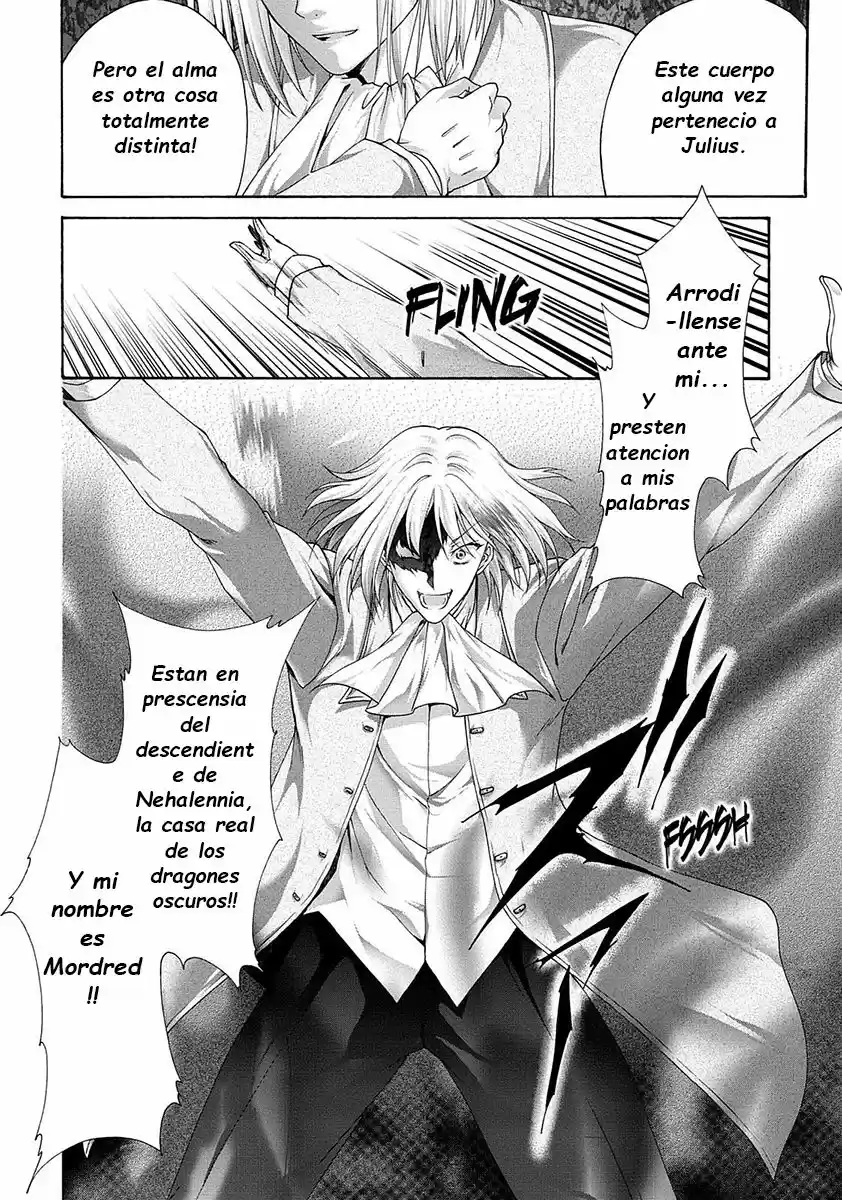 Seikoku no Dragonar (2011) - Capítulo 31 - Página 17 - LectorTMOo
