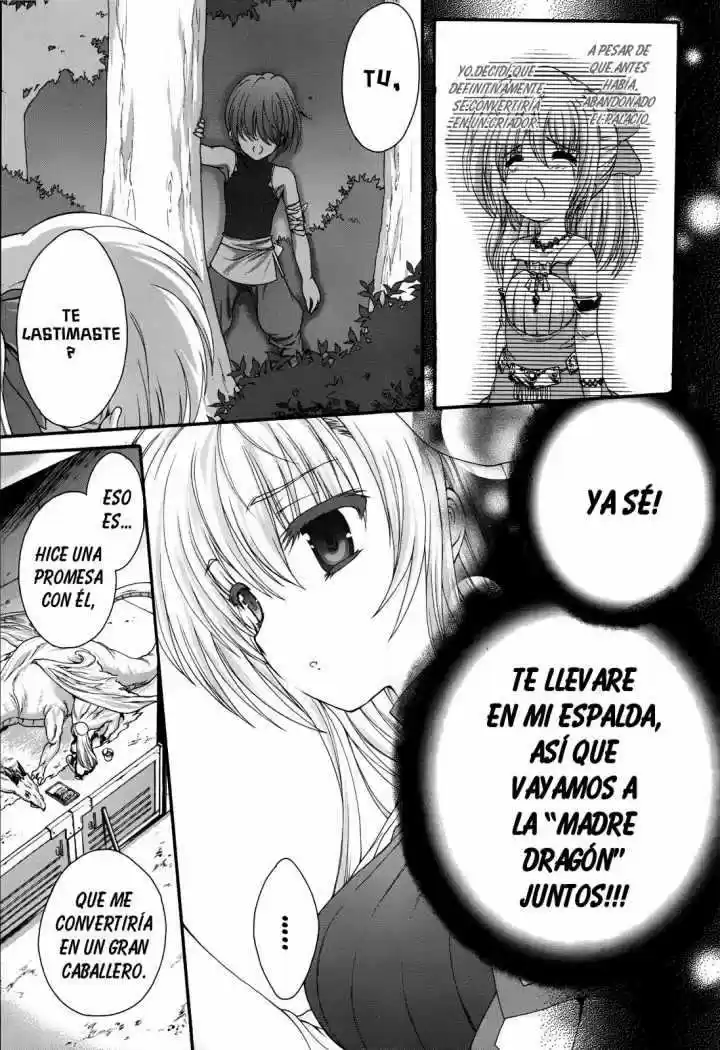Seikoku no Dragonar (2011) - Capítulo 5 - Página 3 - LectorTMOo