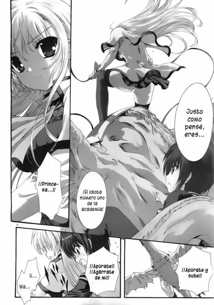 Seikoku no Dragonar (2011) - Capítulo 6 - Página 12 - LectorTMOo