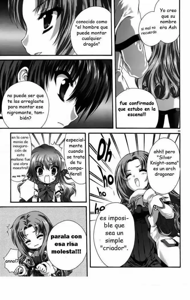 Seikoku no Dragonar (2011) - Capítulo 8 - Página 23 - LectorTMOo