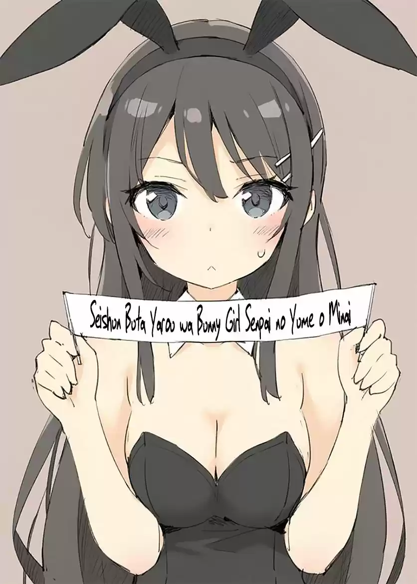 Seishun Buta Yarou wa Bunny Girl Senpai no Yume o Minai (2014) - Capítulo 12 - Página 15 - LectorTMOo