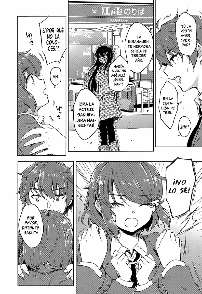 Seishun Buta Yarou wa Bunny Girl Senpai no Yume o Minai (2014) - Capítulo 19.5 - Página 10 - LectorTMOo