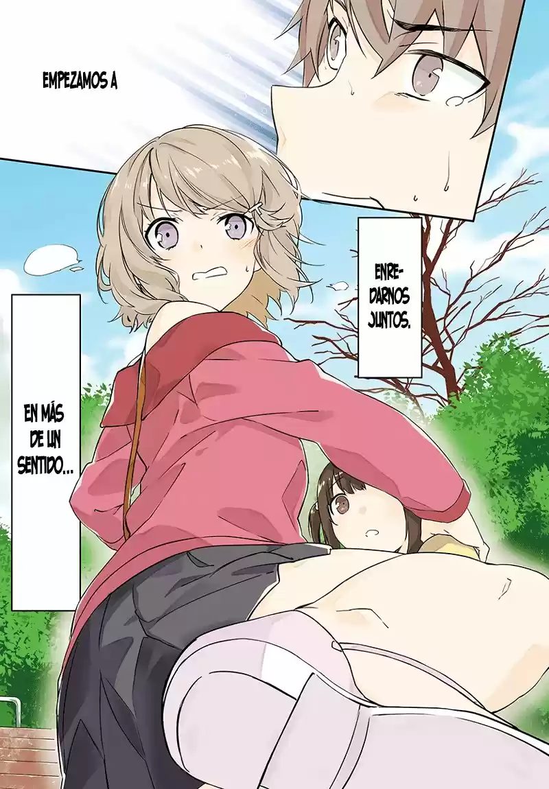 Seishun Buta Yarou wa Bunny Girl Senpai no Yume o Minai (2014) - Capítulo 19 - Página 4 - LectorTMOo