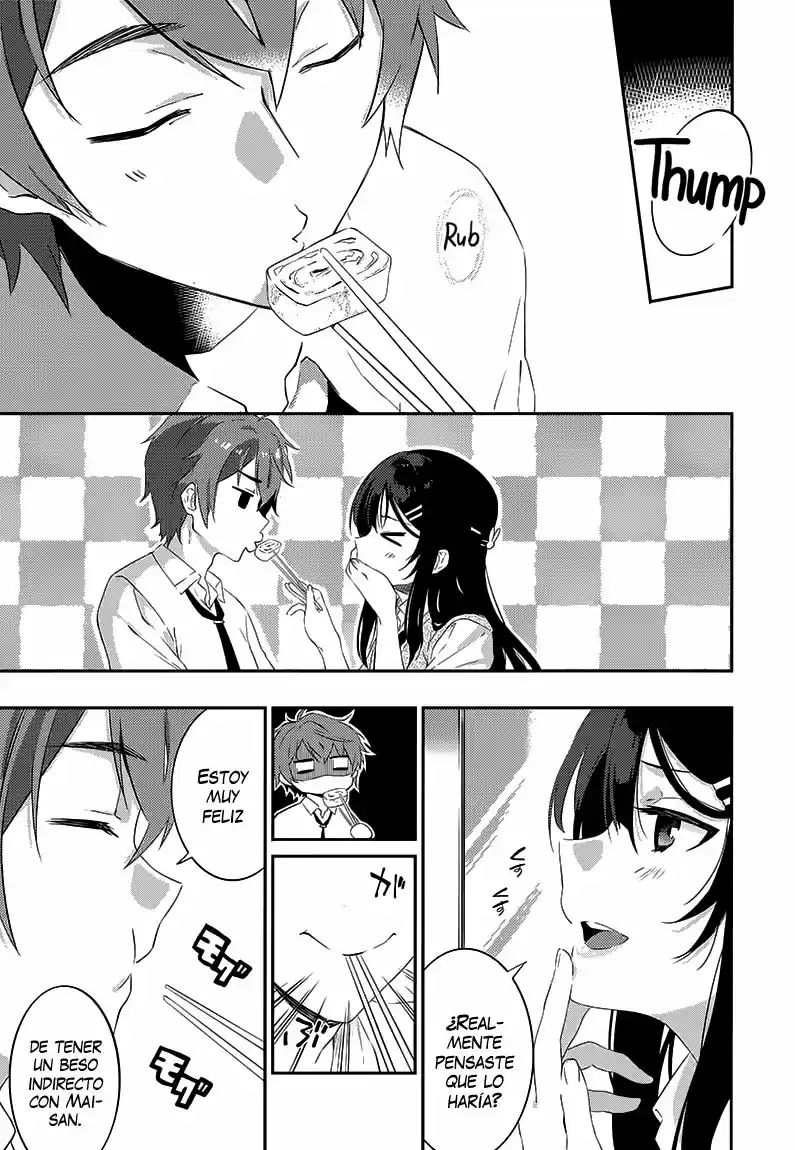 Seishun Buta Yarou wa Bunny Girl Senpai no Yume o Minai (2014) - Capítulo 19 - Página 15 - LectorTMOo