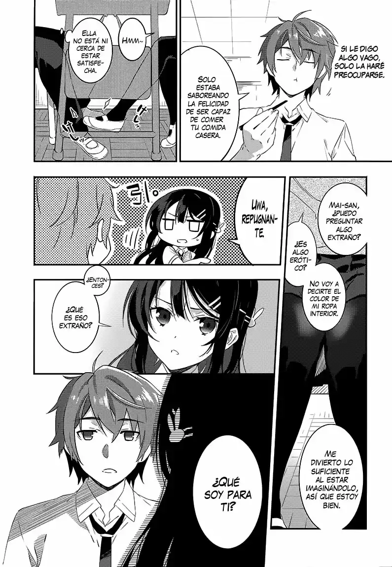 Seishun Buta Yarou wa Bunny Girl Senpai no Yume o Minai (2014) - Capítulo 19 - Página 26 - LectorTMOo
