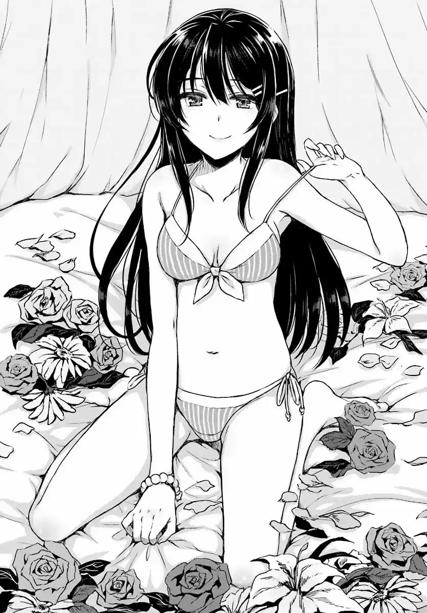 Seishun Buta Yarou wa Bunny Girl Senpai no Yume o Minai (2014) - Capítulo 9 - Página 8 - LectorTMOo