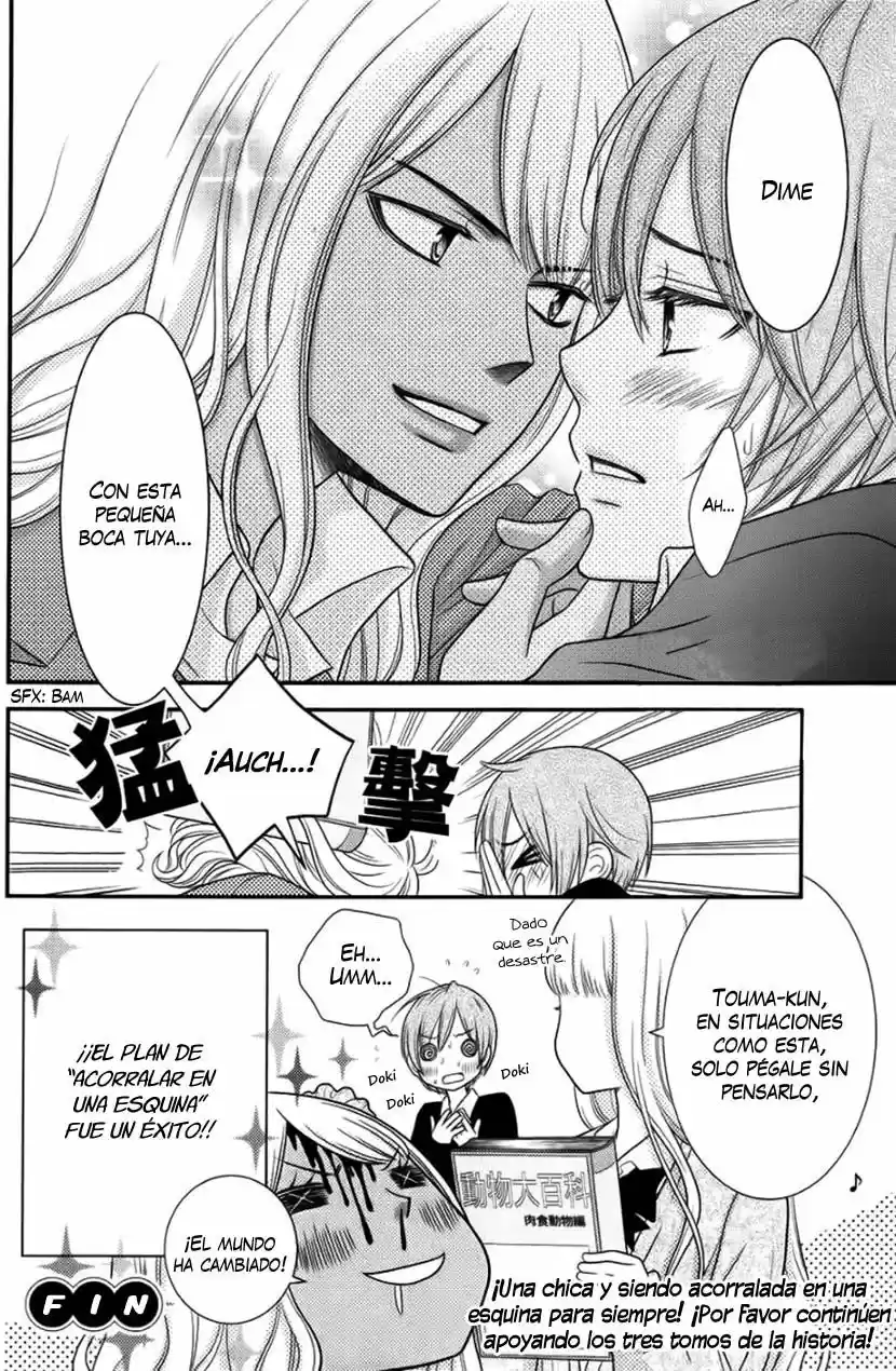 Seishun Otome Banchou (2013) - Capítulo 11.5 - Página 11 - LectorTMOo