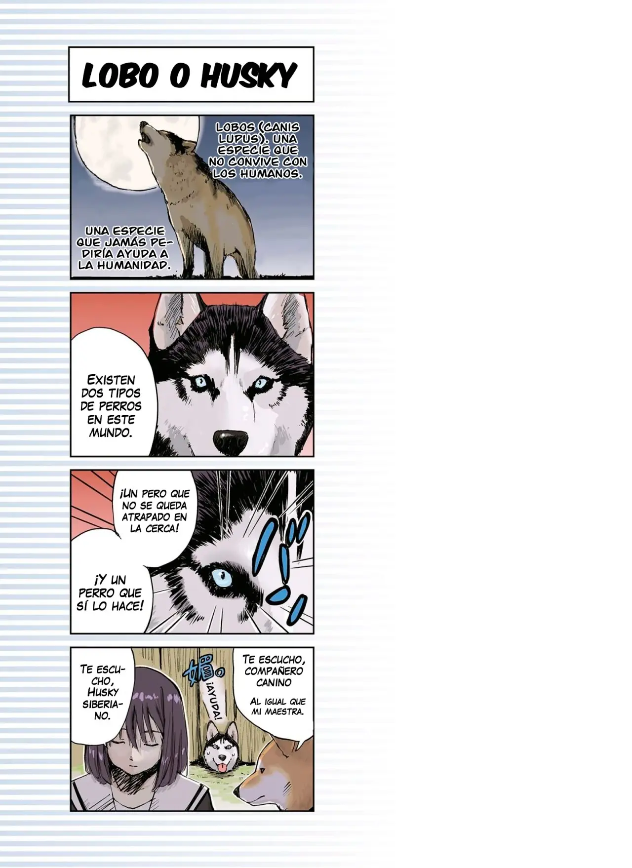 Sekai no Owari ni Shiba Inu to (2018) - Capítulo 11 - Página 8 - LectorTMOo