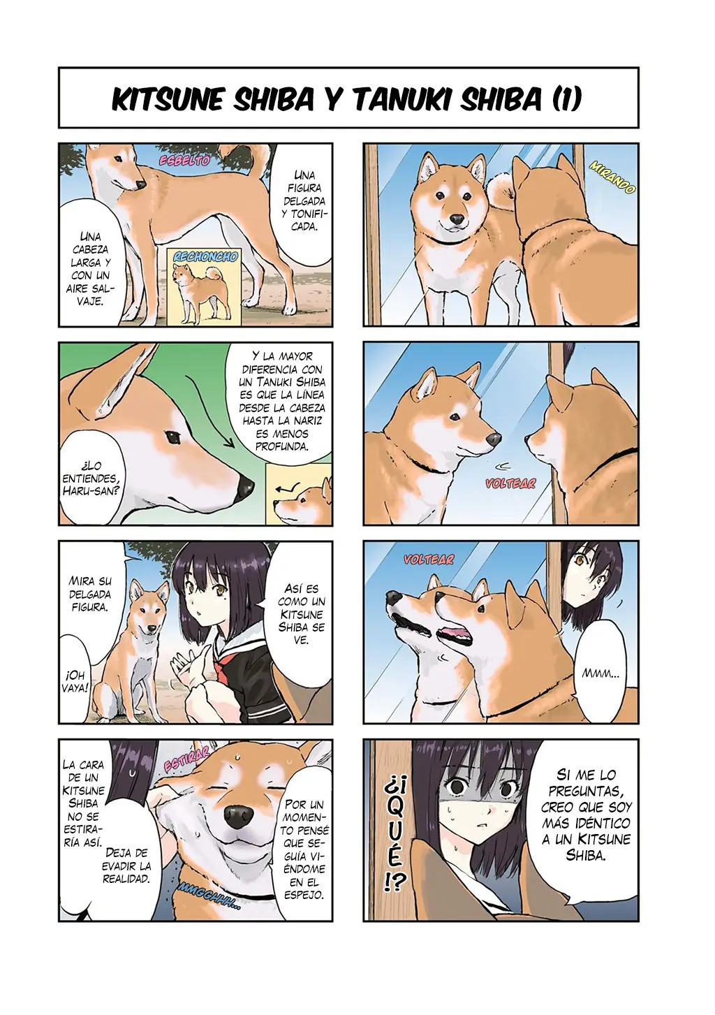 Sekai no Owari ni Shiba Inu to (2018) - Capítulo 22 - Página 5 - LectorTMOo