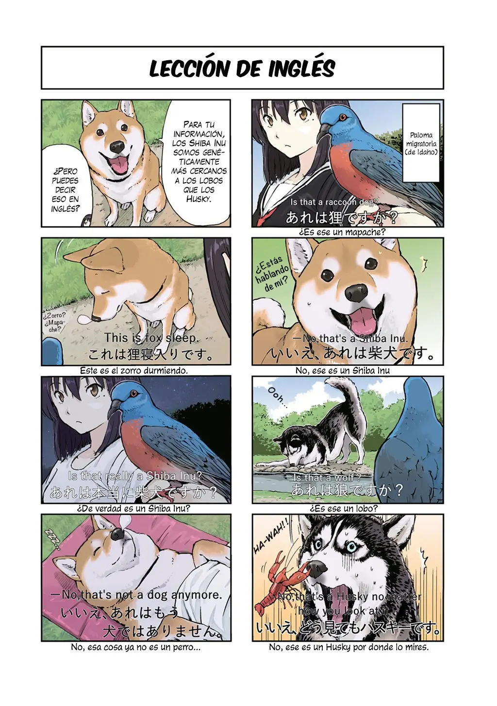 Sekai no Owari ni Shiba Inu to (2018) - Capítulo 24 - Página 7 - LectorTMOo