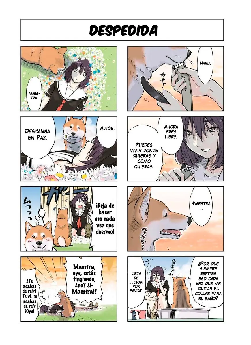 Sekai no Owari ni Shiba Inu to (2018) - Capítulo 4 - Página 5 - LectorTMOo