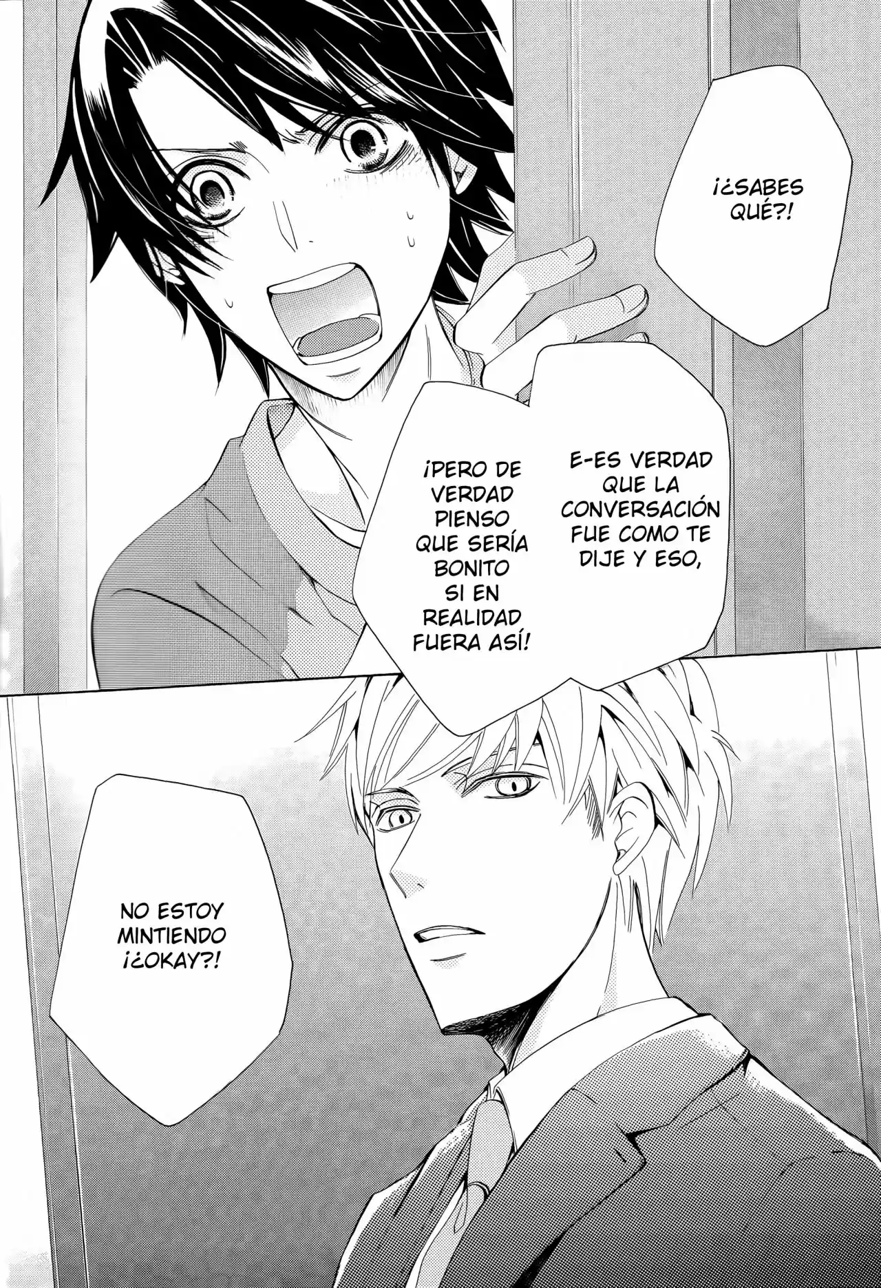 Sekaiichi Hatsukoi 一Onodera Ritsu no baai一 (2006) - Capítulo 40.2 - Página 10 - LectorTMOo
