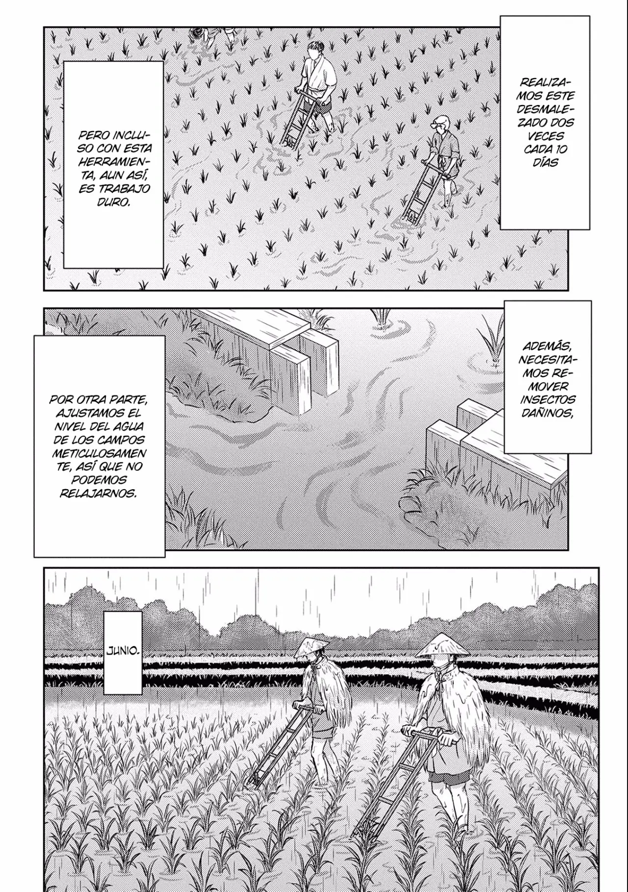 Sengoku Komachi Kuroutan: Noukou Giga - Capítulo 6 - Página 33 - LectorTMOo
