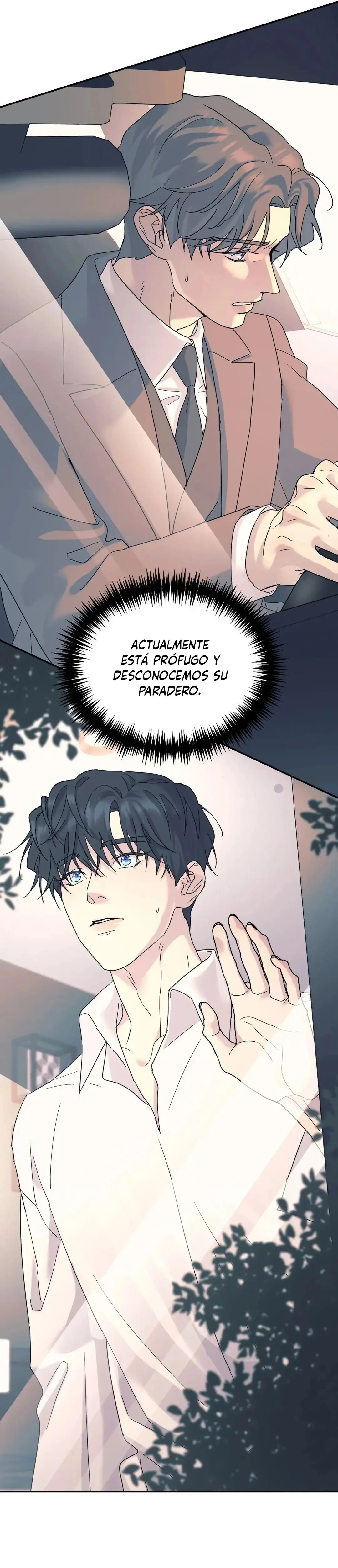 Sin raíces (A tree Without Roots) (2022) - Capítulo 52 - Página 31 - LectorTMOo