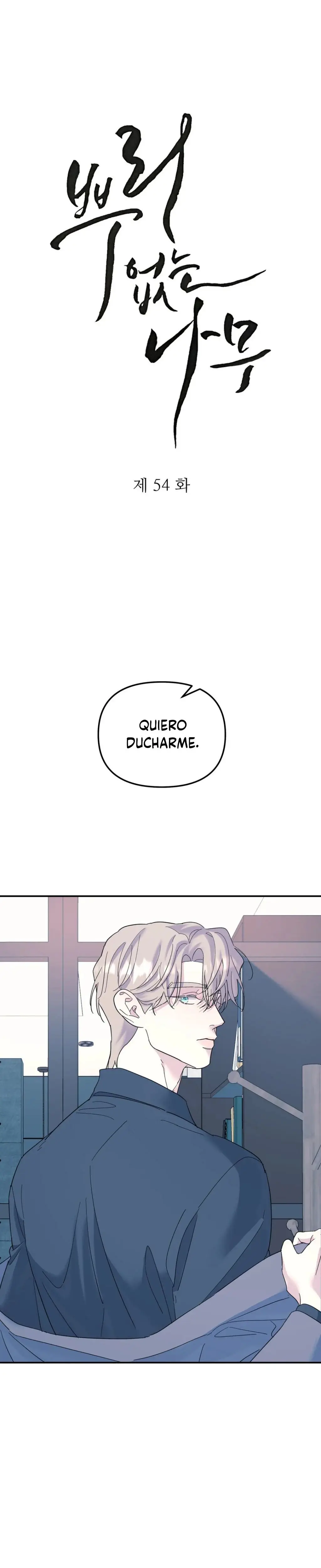 Sin raíces (A tree Without Roots) (2022) - Capítulo 54 - Página 8 - LectorTMOo