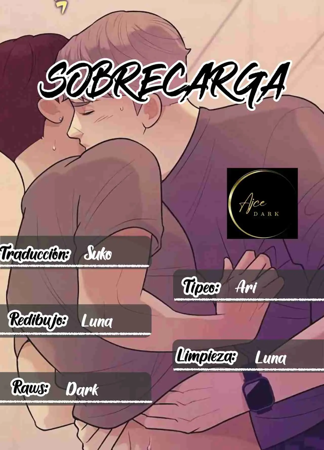 Sobrecarga (2024) - Capítulo 13 - Página 1 - LectorTMOo