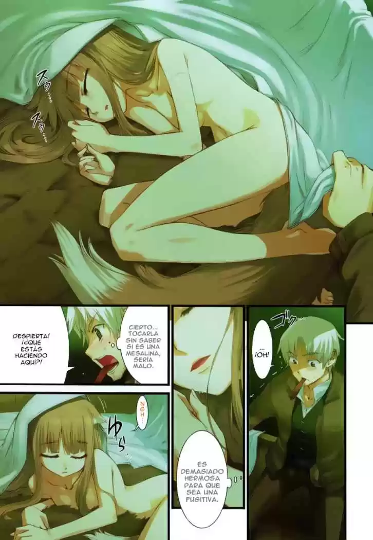 Spice and Wolf (2007) - Capítulo 1 - Página 32 - LectorTMOo
