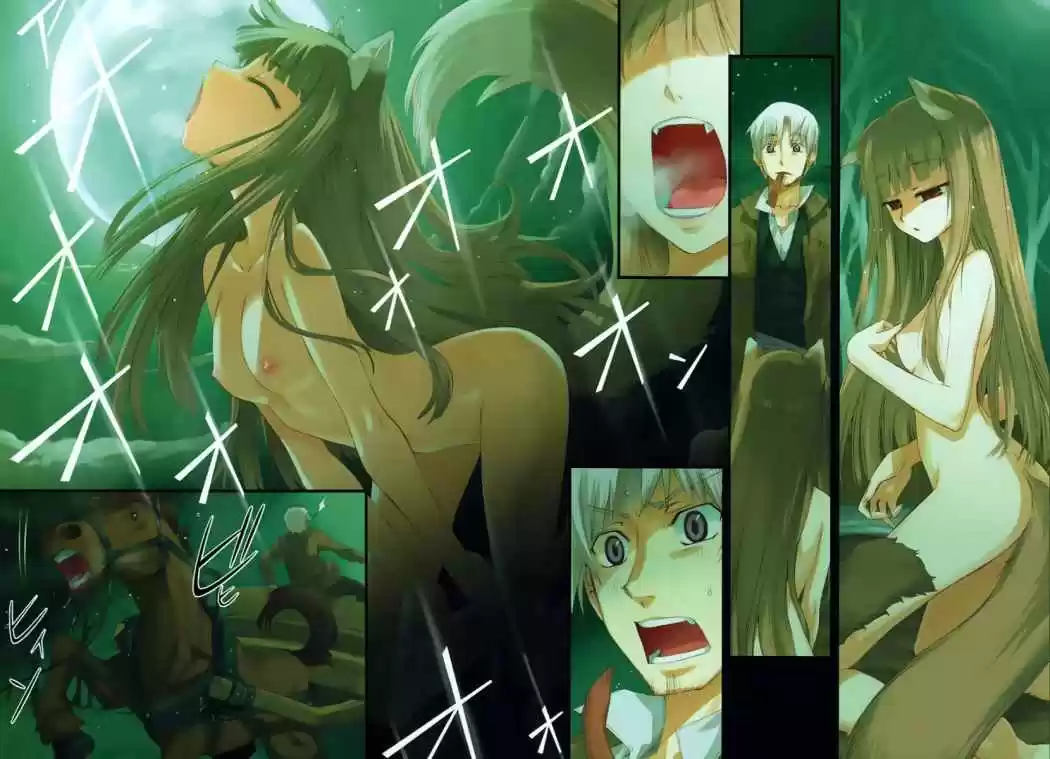 Spice and Wolf (2007) - Capítulo 1 - Página 33 - LectorTMOo