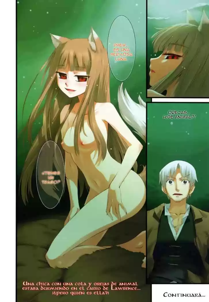 Spice and Wolf (2007) - Capítulo 1 - Página 34 - LectorTMOo
