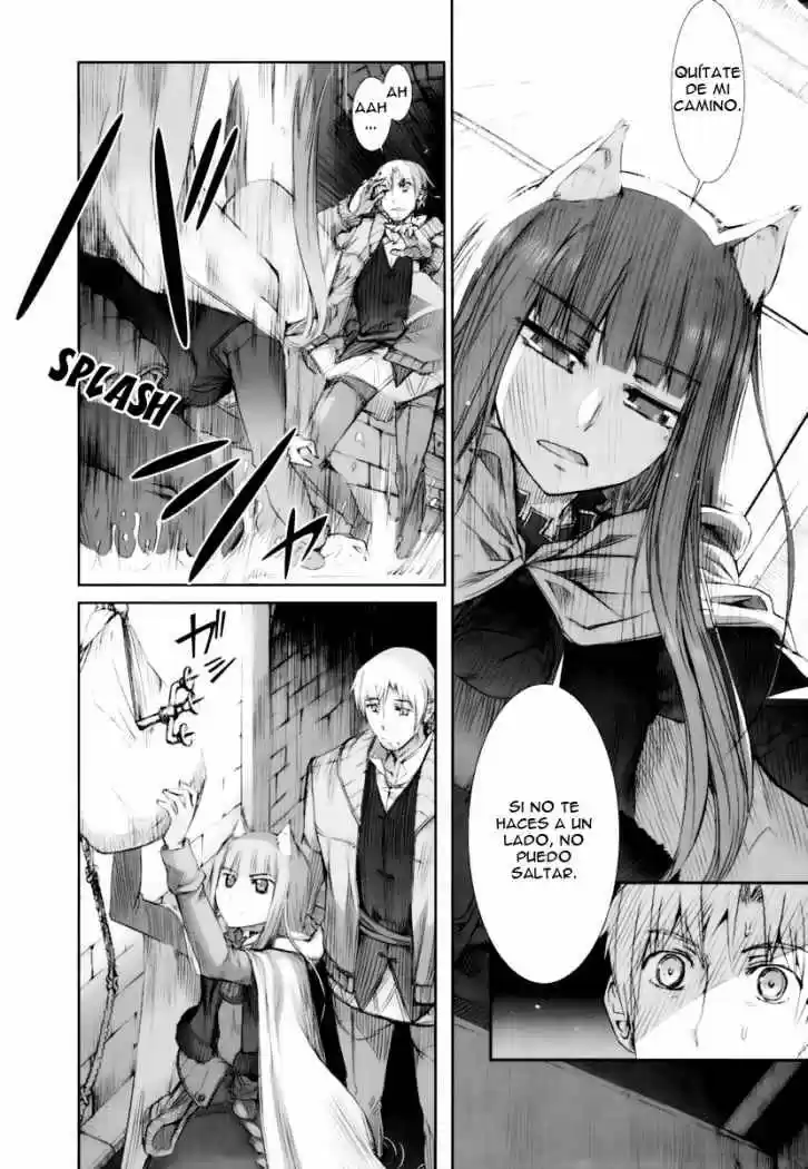 Spice and Wolf (2007) - Capítulo 12.5 - Página 6 - LectorTMOo