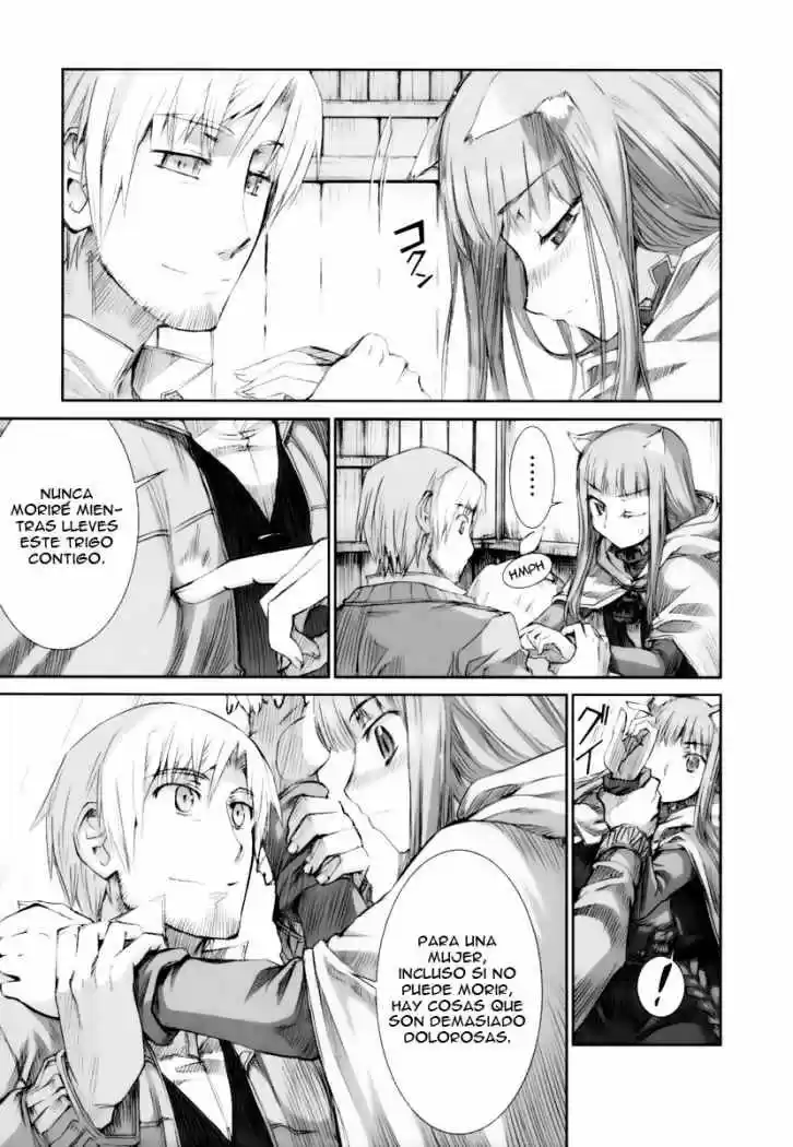 Spice and Wolf (2007) - Capítulo 12.5 - Página 15 - LectorTMOo