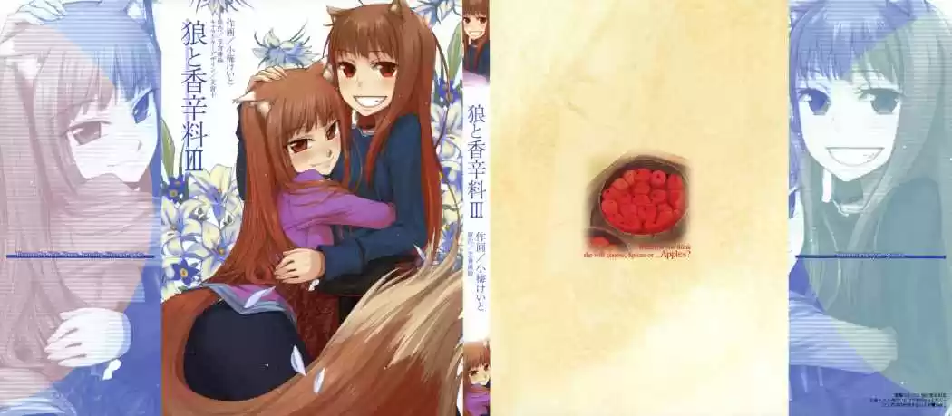 Spice and Wolf (2007) - Capítulo 13 - Página 3 - LectorTMOo