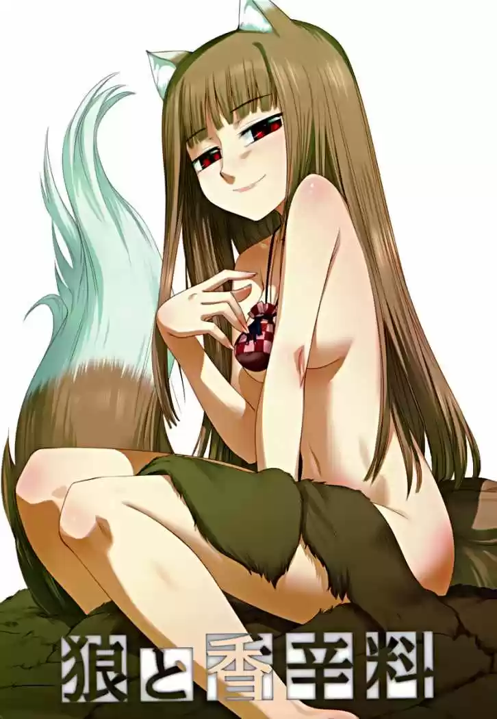 Spice and Wolf (2007) - Capítulo 13 - Página 6 - LectorTMOo