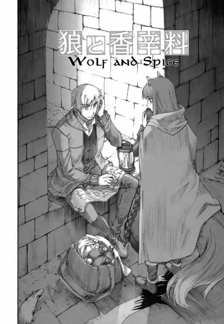 Spice and Wolf (2007) - Capítulo 13 - Página 9 - LectorTMOo