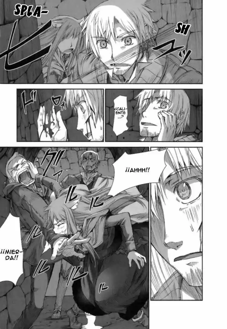 Spice and Wolf (2007) - Capítulo 13 - Página 27 - LectorTMOo