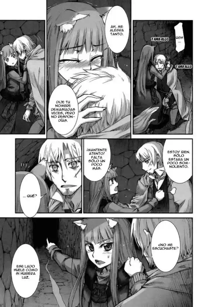 Spice and Wolf (2007) - Capítulo 14 - Página 7 - LectorTMOo