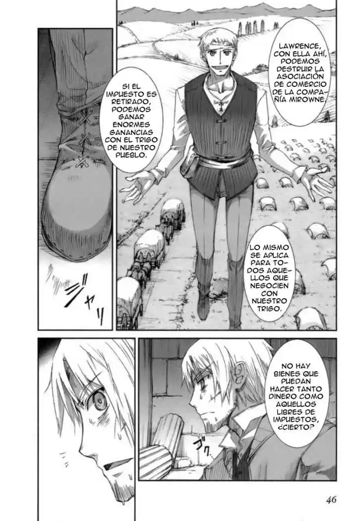 Spice and Wolf (2007) - Capítulo 14 - Página 19 - LectorTMOo