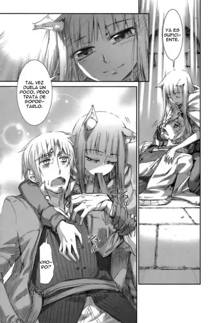 Spice and Wolf (2007) - Capítulo 14 - Página 28 - LectorTMOo
