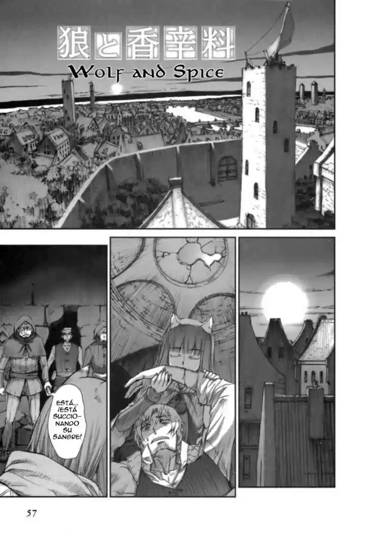 Spice and Wolf (2007) - Capítulo 15 - Página 2 - LectorTMOo