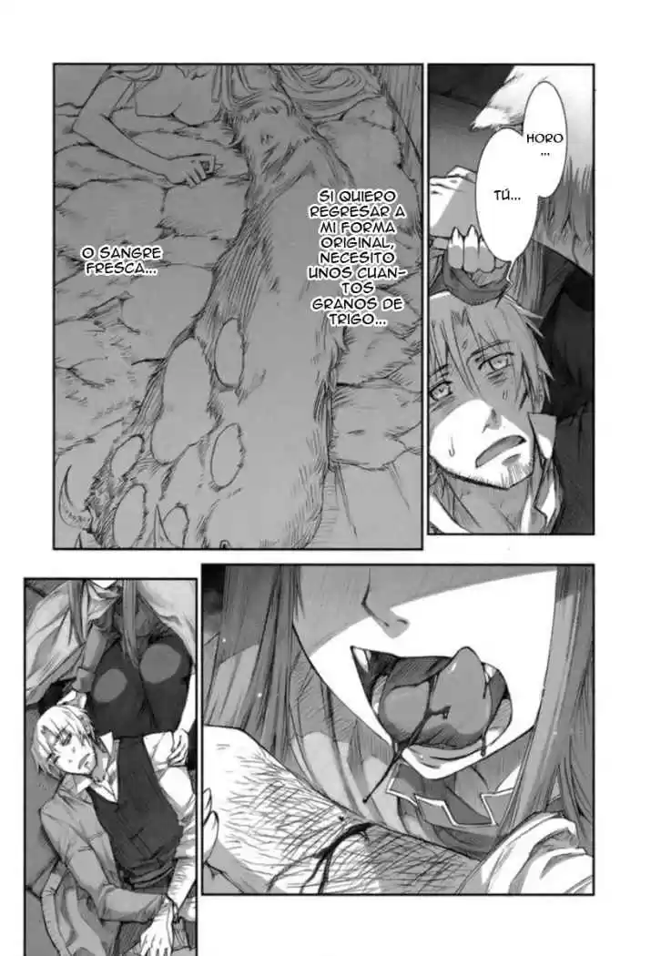 Spice and Wolf (2007) - Capítulo 15 - Página 4 - LectorTMOo