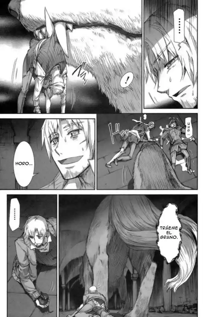 Spice and Wolf (2007) - Capítulo 15 - Página 21 - LectorTMOo