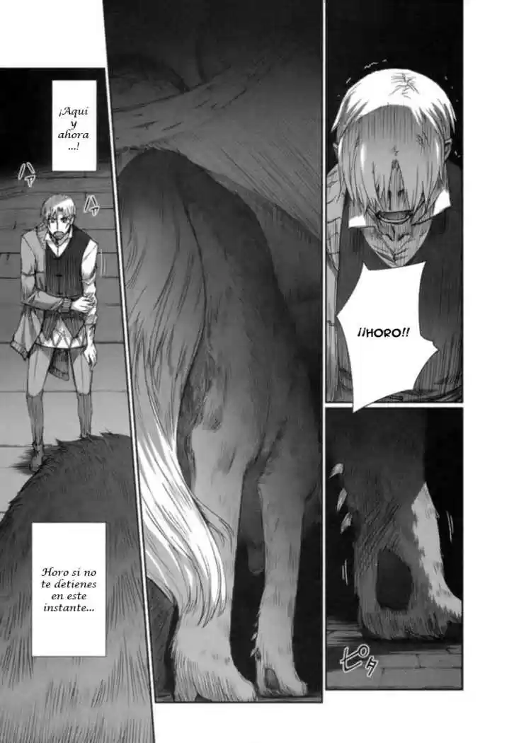 Spice and Wolf (2007) - Capítulo 15 - Página 25 - LectorTMOo