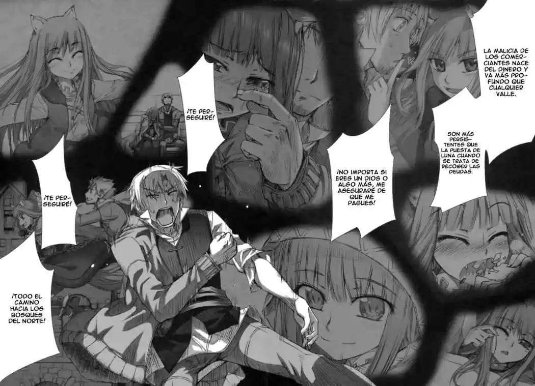 Spice and Wolf (2007) - Capítulo 15 - Página 28 - LectorTMOo