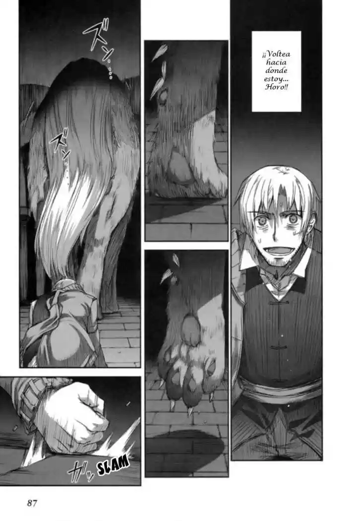 Spice and Wolf (2007) - Capítulo 15 - Página 30 - LectorTMOo